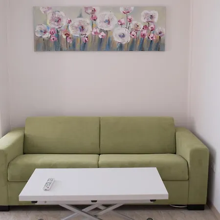 Luxury Apartment